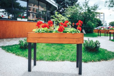 Çiçeklerin büyük bir ahşap tencerede sokakta