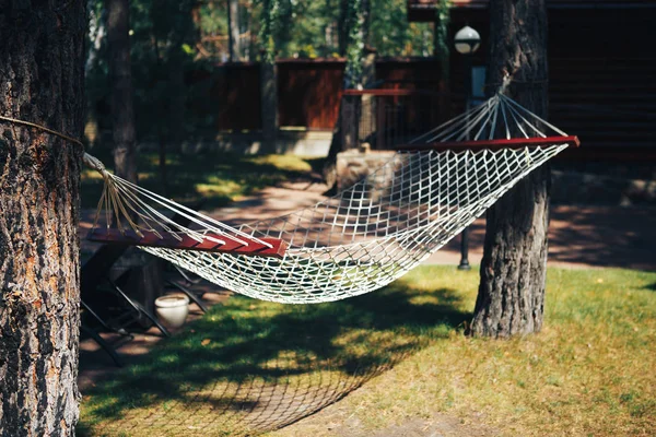 Hammock in forest. Hammock stretched between two trees in the forest