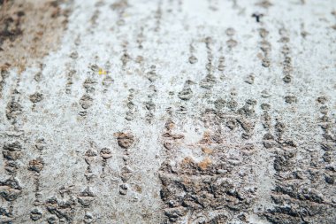 Ağaç kabuğu doku kadar ahşap arka plan olarak kapatın. Ağaç kabuğu arka plan dokusu