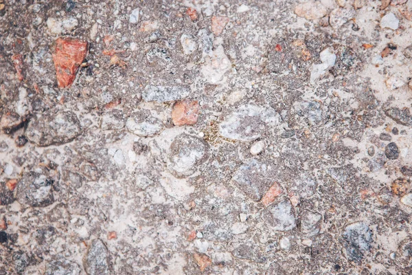 Żwir, kamienie tekstura tło. Kamienie na tle podłoża. Ziemi gruzu kamień tło wiele małych kamieni — Zdjęcie stockowe