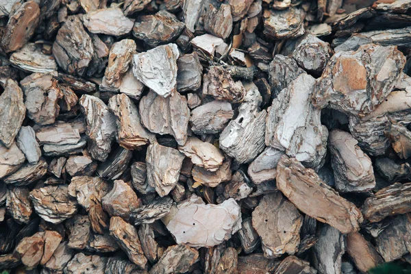 Crushed tree bark texture background closeup. Pieces of tree bark background — Stock Photo, Image