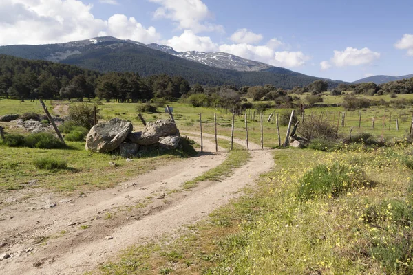 Trilha Florestal Rotas Montanha Parque Nacional Serra Guadarrama Segóvia Espanha — Fotografia de Stock