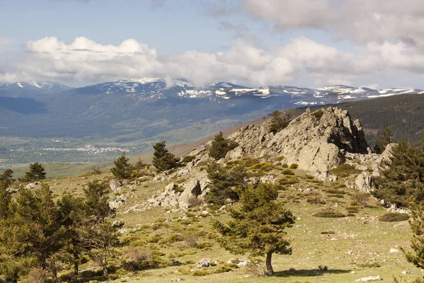 Trilha Florestal Rotas Montanha Parque Nacional Serra Guadarrama Segóvia Espanha — Fotografia de Stock