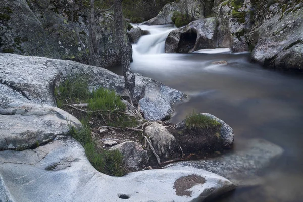 Río Cambrones Granja San Ildefonso Segovia Parque Nacional Sierra Guadarrama —  Fotos de Stock