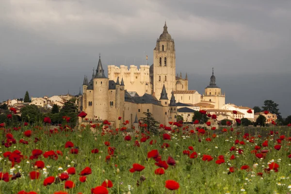 Alcazar ve katedral Segovia bahar. Alan, haşhaş, Castilla y Leon, İspanya
