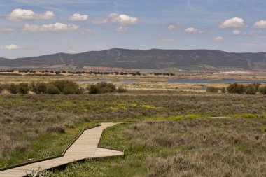 Ciudad Real Daimiel tablolarda. Lagün ahşap geçit, mavi gökyüzü ile. Doğal Park Castilla la Mancha. İspanya, Europe
