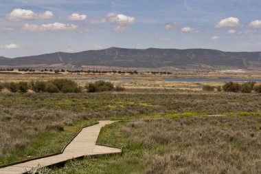 Daimiel tables in Ciudad Real. Lagoons with wooden walkway, blue sky. Natural Park of Castilla la Mancha. Spain, Europe clipart