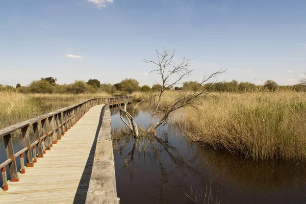 Daimiel Tabellen Spaanse Provincie Ciudad Real Lagunes Met Houten Wandelpad — Stockfoto