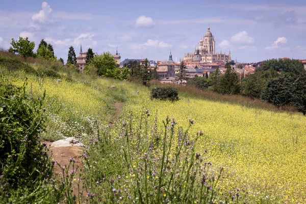 Fénykép Monumentális Segovia Katedrális Vízvezeték Történelmi Központ Fák Növények Tavaszi — Stock Fotó