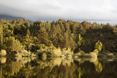 Revenga depo, Segovia, İspanya gün batımı. Su yansımalar ile altın ve gümüş tonları. Sakin sahne.