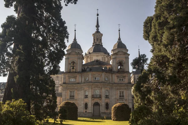 Palácio Jardins Granja San Ildefonso Segovia Espanha Sequóia Gigante Com — Fotografia de Stock