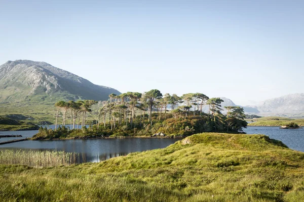 Lakes Trees Beautiful Weather Connemara National Park Roundstone Galway Clifden — Stock Photo, Image