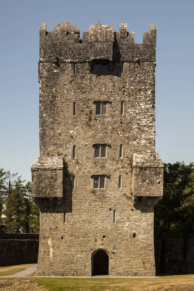 Huvudsakligt Står Hög Det Medeltida Slottet Aughnanure Oughterard Irland — Stockfoto