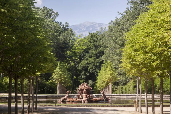 La Granja de San ettiler, Segovia Sarayı. İspanya. Bahçeleri ve çeşmeler ile ışık şafak