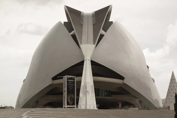 City Arts Sciences Oceanographic Hemispheric Umbracle Palace Arts Science Museum — Stock Photo, Image