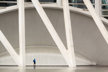 City of Arts and Sciences. Oşinografik, hemisferik, umbracle, sanat, Bilim Müzesi, agora saray. Valencia. İspanya, Europe.