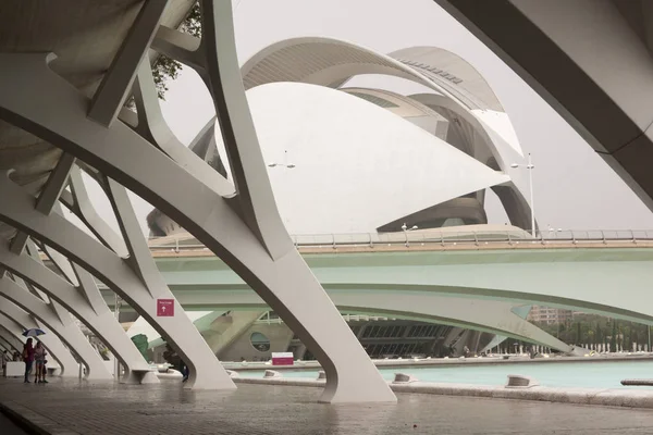 City Arts Sciences Oceanographic Hemispheric Umbracle Palace Arts Science Museum — Stock Photo, Image