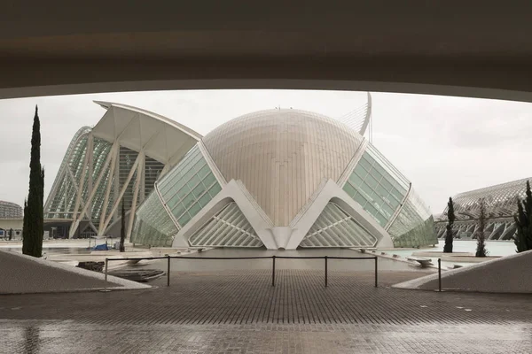 都市の芸術と科学です Umbracle 科学博物館 アゴラの宮殿 バレンシア スペイン ヨーロッパ — ストック写真