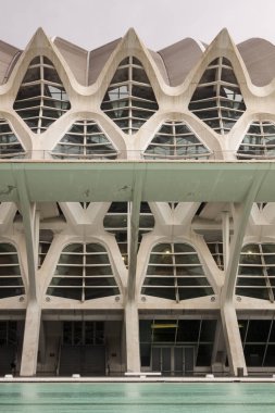 City of Arts and Sciences. Oşinografik, hemisferik, umbracle, sanat, Bilim Müzesi, agora saray. Valencia. İspanya, Europe.