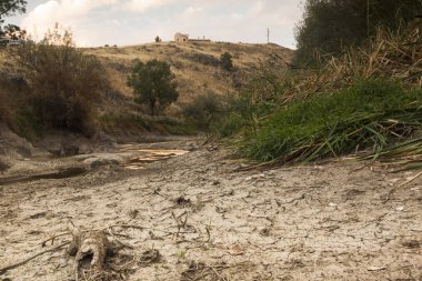 Bir orman Kuru dere yatağında. Nehir Eresma, Segovia kuraklık. İspanya
