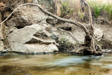 Bir orman Kuru dere yatağında. Nehir Eresma, Segovia kuraklık. İspanya