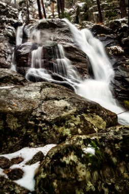 Büyülü Orman sahnesi, kar ve sis. Chorranca, Sierra de Guadarrama Milli Parkı 'nın Cascade. Segovia, Ispanya
