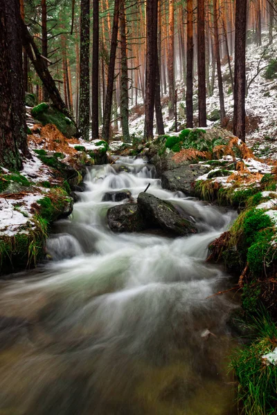 Cena Floresta Mágica Com Neve Nevoeiro Cascata Chorranca Parque Nacional — Fotografia de Stock