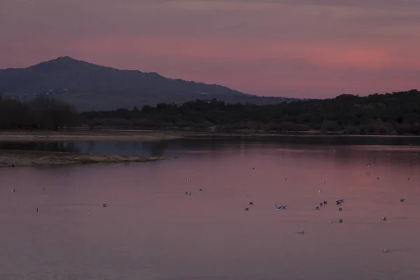 Naplemente Tározóban Manzanares Real Madrid Sierra Guadarrama Nemzeti Park — Stock Fotó