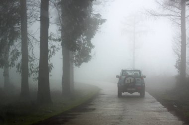 gorbea doğal parkta otzarreta ormanda renkli sonbahar, Bask ülke. İspanya