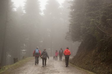 Urkiola Dağı, Anboto dağıile Bask Ülkesi. Kilise, orman ve sisteki aylaklar. İspanya