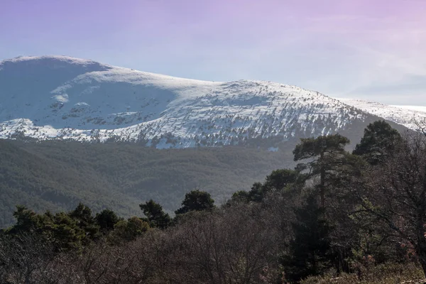 Valsain Köyü, ahşap için bilinir. Eşek otlatma, tipik evleri ve en yüksek Penalara. Sierra de Guadarrama Milli Park, Segovia, İspanya