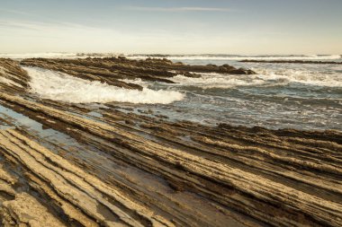 Flysch güzergahındaki jeolojik kaya oluşumları ve kayalıklar. Kantabriya Denizi. Vizcaya, Bask Ülkesi'nde. İspanya