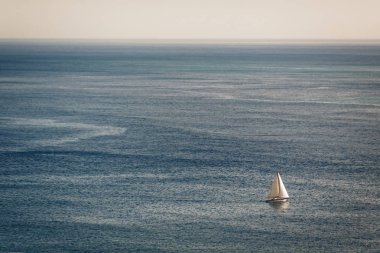Flysch güzergahındaki jeolojik kaya oluşumları ve kayalıklar. Kantabriya Denizi. Vizcaya, Bask Ülkesi'nde. İspanya