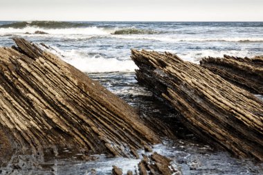 Flysch güzergahındaki jeolojik kaya oluşumları ve kayalıklar. Kantabriya Denizi. Vizcaya, Bask Ülkesi'nde. İspanya