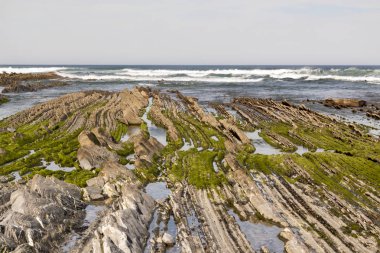Flysch güzergahındaki jeolojik kaya oluşumları ve kayalıklar. Kantabriya Denizi. Vizcaya, Bask Ülkesi'nde. İspanya