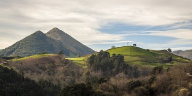 Flysch güzergahındaki jeolojik kaya oluşumları ve kayalıklar. Kantabriya Denizi. Vizcaya, Bask Ülkesi'nde. İspanya