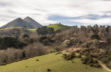 Flysch güzergahındaki jeolojik kaya oluşumları ve kayalıklar. Kantabriya Denizi. Vizcaya, Bask Ülkesi'nde. İspanya