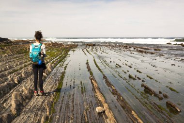 Flysch güzergahındaki jeolojik kaya oluşumları ve kayalıklar. Kantabriya Denizi. Vizcaya, Bask Ülkesi'nde. İspanya