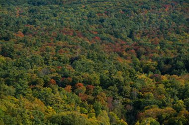 Kanada, Ottawa yakınlarındaki Gatineau Park 'taki King Mountain patikasında, yukarıdan, telefoto lenslerle görülen sonbahar rengi. Kırmızıya ve turuncuya dönen ağaçlardan oluşan bir orman. Gatineau Parkı, Quebec, Kanada