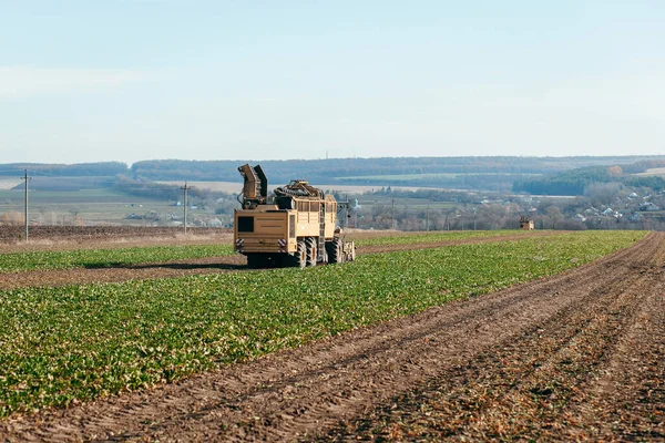 Combineer Oogstsuikerbieten Aanhangwagen — Stockfoto