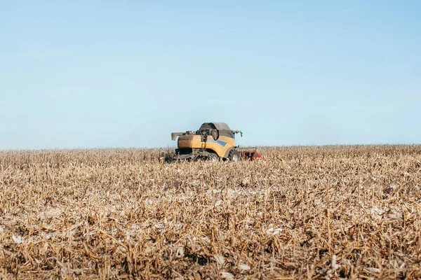 Maschine Erntet Das Maisfeld — Stockfoto