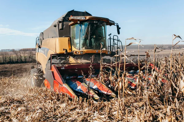 Machine Harvesting Corn Field — Stock Photo, Image