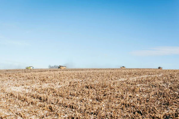 Maschine Erntet Das Maisfeld — Stockfoto