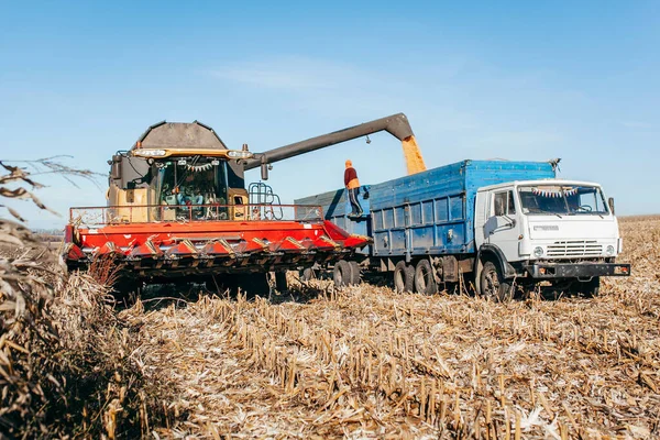 Maschine Erntet Das Maisfeld — Stockfoto