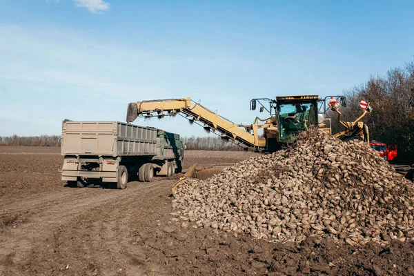 Combineer Oogstsuikerbieten Aanhangwagen — Stockfoto