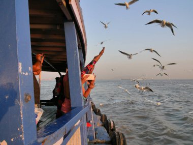 Gemideki turistler martılar besler