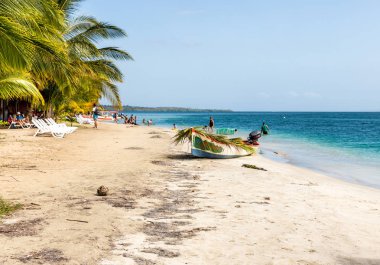 Deniz yıldızı plaj panama.