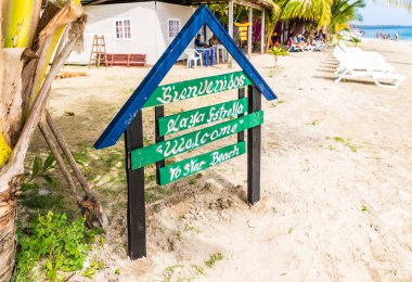 Deniz yıldızı plaj panama.