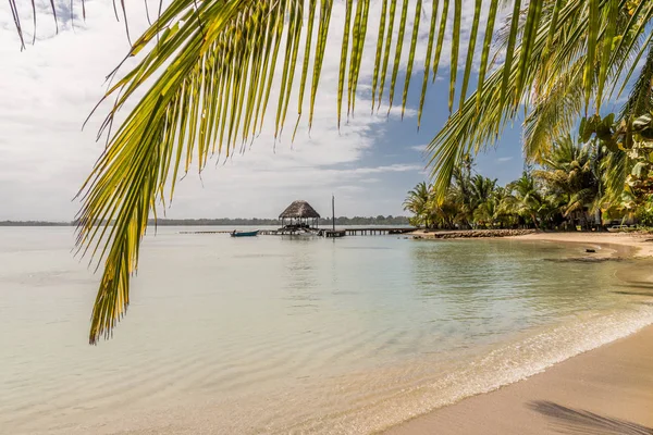 Starfish Beach panama. — Stock Photo, Image