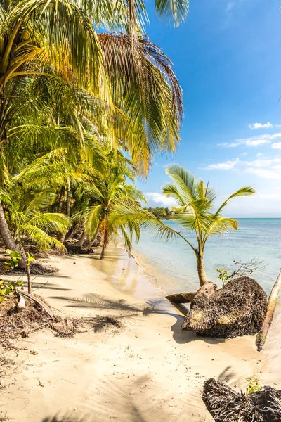 Spiaggia di stelle marine panama . — Foto Stock